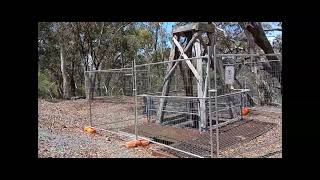 Hill End NSW and the Bridle Track  Jan 2026