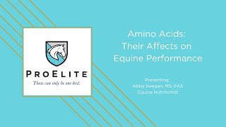 ProElite Feeds: Amino Acids and Their Affect on Equine Performance