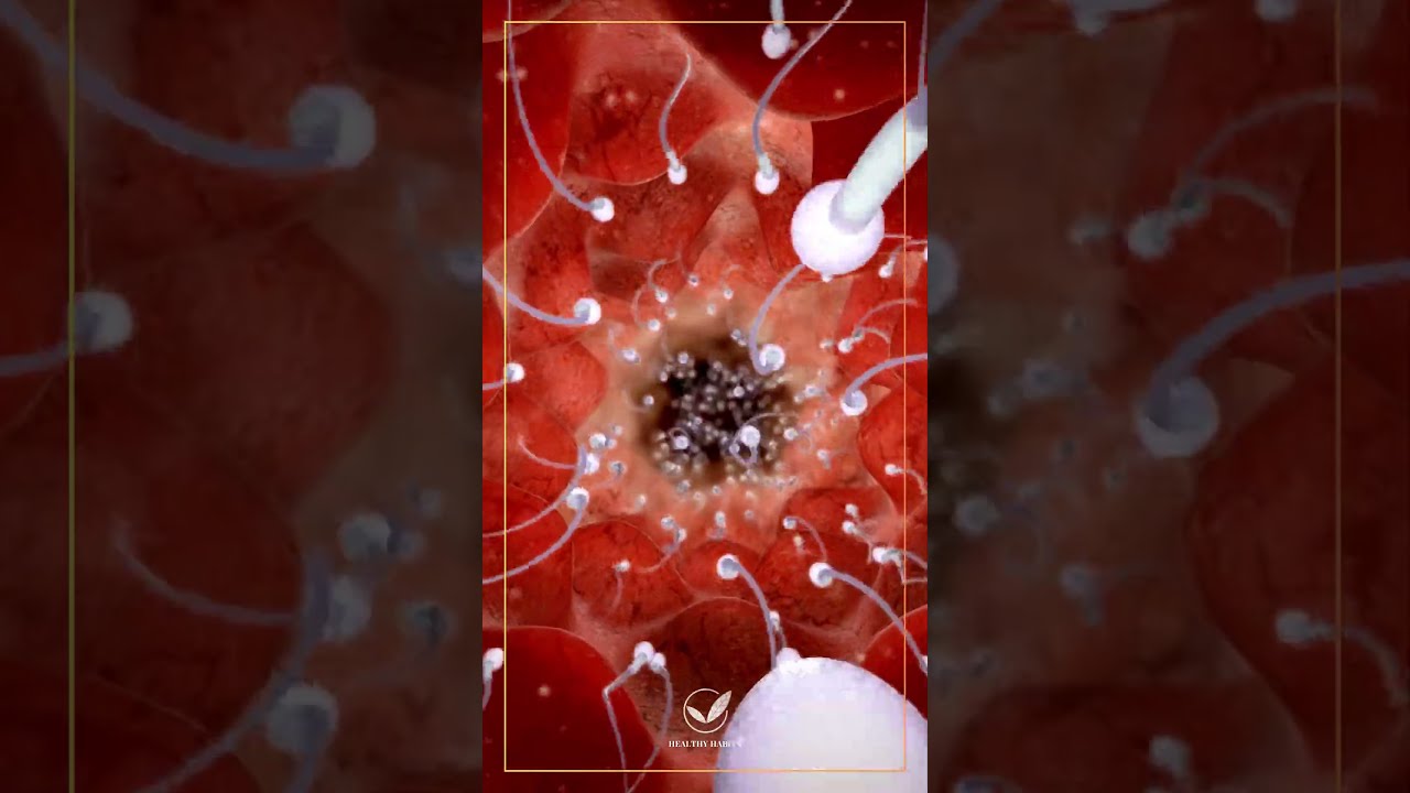  Sperm Death In The Uterus Shorts Viral Viralshorts Shortsfeed