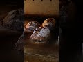 This Japanese Micro Bakery Makes Bread Better Than French Bakeries - Walnut bread