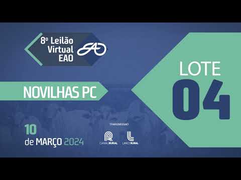 LOTE 04