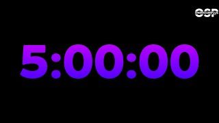 Minuteur 5 heures 300 minutes 5 Hour Timer