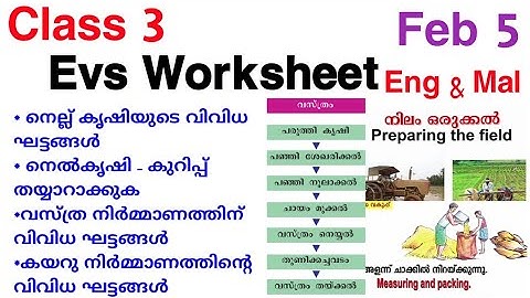 Class 3 Evs Worksheet Feb 5 | Std 3 Evs Worksheet | Victers Channel Std 3 | Std 3 Evs Worksheet Feb5