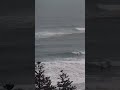 Some clips deserve to be stashed onto a hard drive. These are some of our favorites lately.