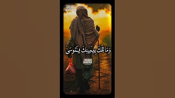 وَمَا تِلۡكَ بِیَمِینِكَ یَـٰمُوسَىٰ❤️ الشيخ محمود الشحات أنور  #القران_الكريم #تلاوه_خاشعه # #fyp