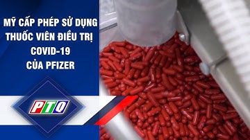 MỸ cấp phép sử dụng thuốc viên điều trị COVID-19 của PFIZER | PTQ