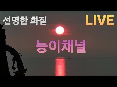 송가인 출연 미스트롯 <strong>천안</strong>  콘서트 1월12일 (고화질 실시간)  구독(<strong>무료</strong>)  (능이채널)
