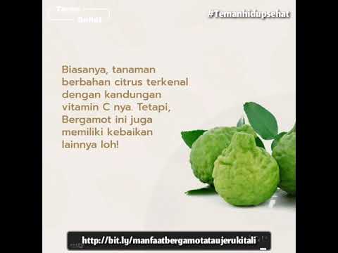 Video: Apa itu bergamot: pir atau jeruk?