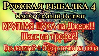 РР4. озеро Старый Острог. Шанс на ТРОФЕЙ Щуки на Джерк! Где ловить? + Обзор точки на Леща.