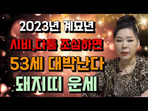 🌸53세 신해생 2023년 운세 #신점 #영점 #신년운세2023