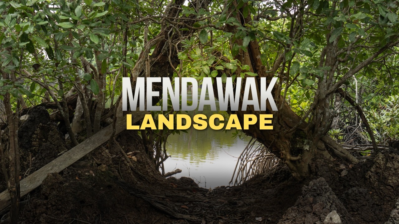 The Mendawak Landscape