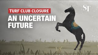 Singapore Turf Club closure: An uncertain future for horse owners, trainers and stable staff