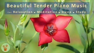 ?Beautiful Tender Piano Music For:  Relaxation/Meditation/Sleep/Study      NatureAndMusic