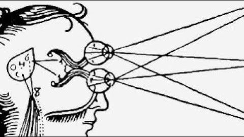 Bernardo Kastrup refutes his own "Hypothesis" on Analytic Idealism