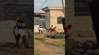 #funny #football #juventus #memes #youtubecontent #youtubeguru #funnysounds #sound
