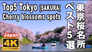 東京の桜の名所５選 5 Top cherry blossom spots in Tokyo 千鳥ヶ淵 上野公園 隅田川 新宿御苑 目黒川 東京観光 旅行 花見 満開 sakura Ueno