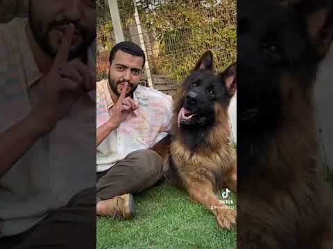لو قلبك ضعيف قول عاش اقوي دكور جيرمن للزواج واقوي مزرعه بالشرقيه