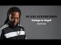 Duane Stephenson - Cottage In Negril (lyrics)