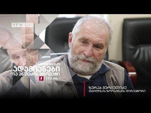 #ანონსი ია ანთაძის ინტერვიუ ზურაბ გურიელიძესთან