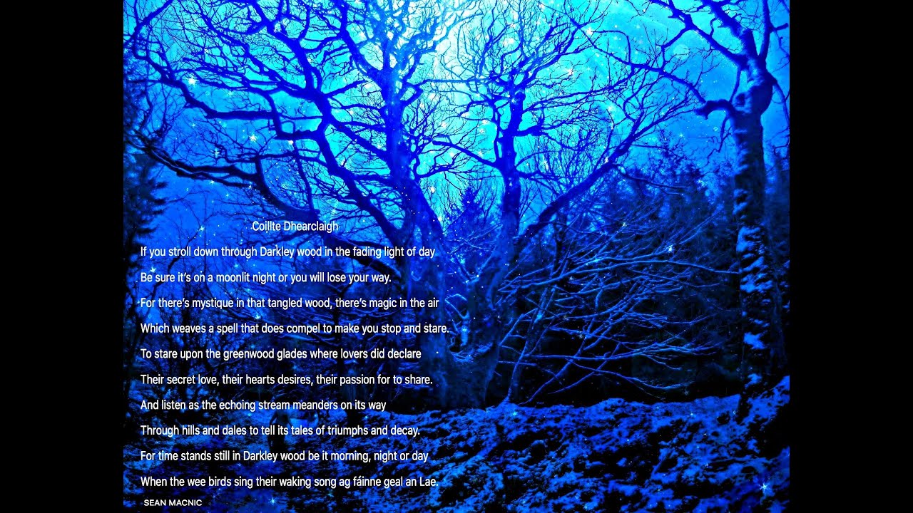 TRANQUIL PEACEFUL DARKLEY FOREST.  2021 NEW BEGINNINGS