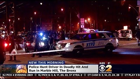 Police Searching For Driver In Fatal Bronx Hit-And-Run