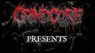 THE SHORT STORY OF BAND - BIRDFLESH 36/52