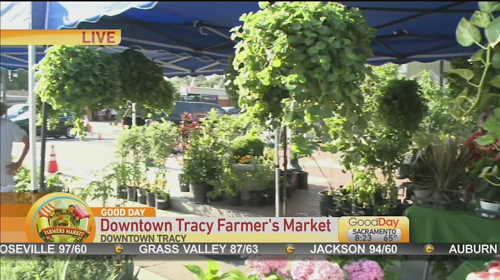 Tracy Summer Farmers Market
