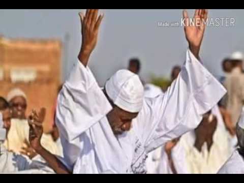 أنشودة اليوم نرفع راية استحسارنا شعر ميسر جمال الأنصاري مونتاج و أداء محمد فاروق