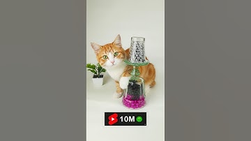 🌸🍓 ASMR Satisfying Colorful Reverse Beads asmr  #satisfying #asmr #relaxing #reverse