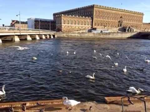 Sweden Pictures Maher Zain Lahza صور السويد أغنية لحظة ماهر زين