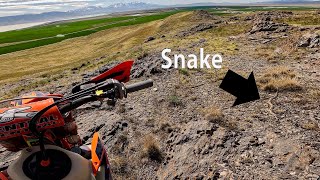 Surprise Snake Ride. I Found a GoPro Trail Riding