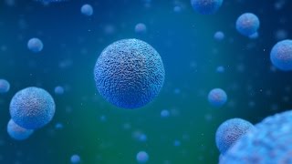 A Stem Cell Story