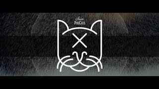 Suara PodCats 237 (with Coyu) 05.09.2018