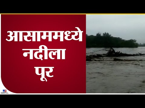 Assam Flood | आसाममध्ये बोरोलिया नदीला पूर, बांबूचा पूल वाहून गेला  - tv9
