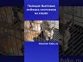 Полиция Вьетнама поймала охотников на кошек