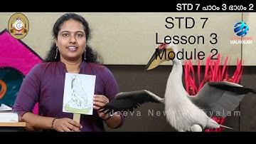 Mane Nobiscum I Cate.Class I STD 7 I Les.3 I M.2 I മതബോധനം I ക്ലാസ് 7 I പാഠം 3 I ഭാഗം 2 Jeeva News