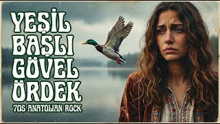 Yeşi̇l Başli Gövel Ördek 70S Anatolian Rock