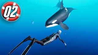 Beyond Blue - Part 2 - Swimming with Orcas!