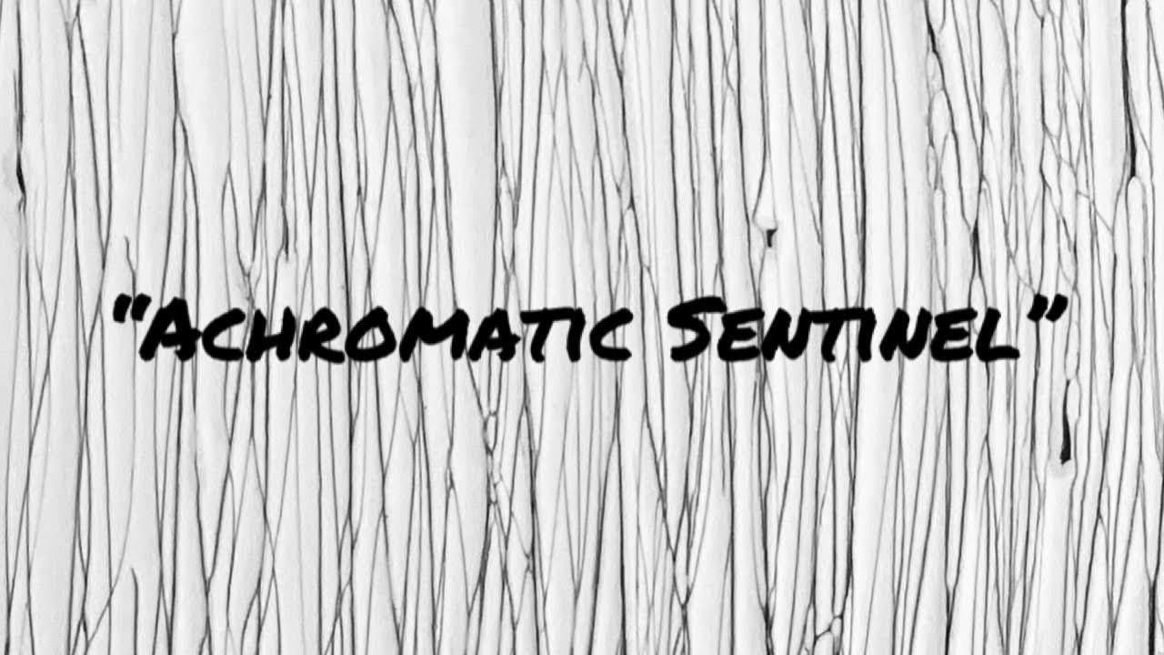 the-achromatic-sentinel-revealing-the-untold-christmas-secret-youtube