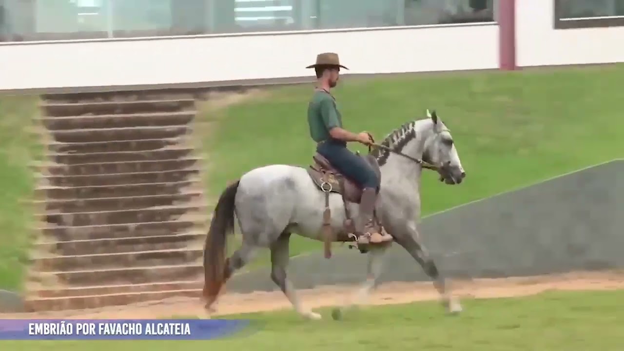 LOTE 08 Campeã de Roma