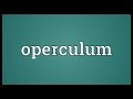 Operculum meaning