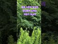 자장가 빗소리. #빗소리asmr #백색소음asmr #rainsounds