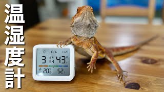 The latest high-tech thermometer and hygrometer is amazing! - YouTube