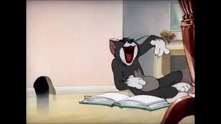 Tom Reading A Book - Meme green screen