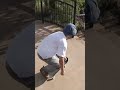 Best of Nike SB 2022 #nikesb #shorts