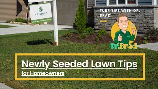 Caring for Newly Seeded Lawn - Mowing, Watering, & more | Turf Tips w/ Dr. Brad - Weed Man Lawn Care