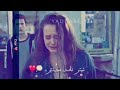 لہ یاسای مندا ئہ وہ ی دیت جاریک ئازادہ ئہ وہ ی دہ روات 100 جار لہ یاسای مندا ئہ وہ ی دیت جاریک ئازادہ ئہ وہ ی دہ روات 100 جار