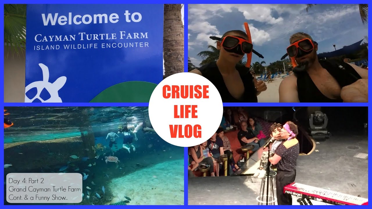 Cruise Life Vlog: Carnival Freedom Day 4: Part 2 - Grand Cayman Turtle Farm Cont. & a Funny Show!