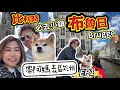 【比利時自駕遊】必去小鎮布魯日Brugge 【帶阿媽去歐洲EP1】遊船河 #比利時 #布魯日 #Brugge