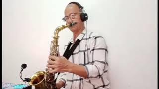 Paint My Love ( Michael Learns To Rock ) Saxophone Cover